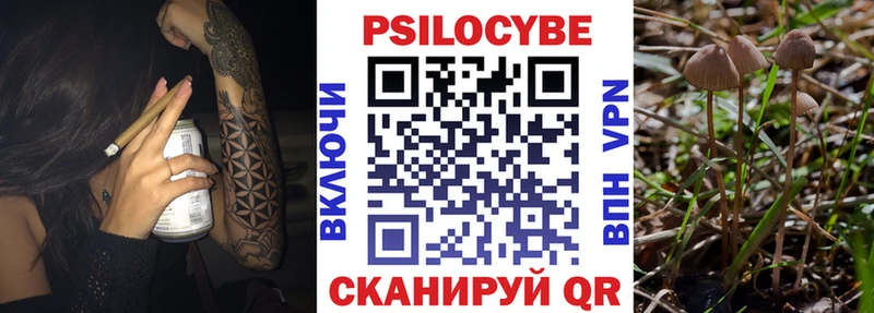 наркотики  Сибай  Псилоцибиновые грибы мухоморы 