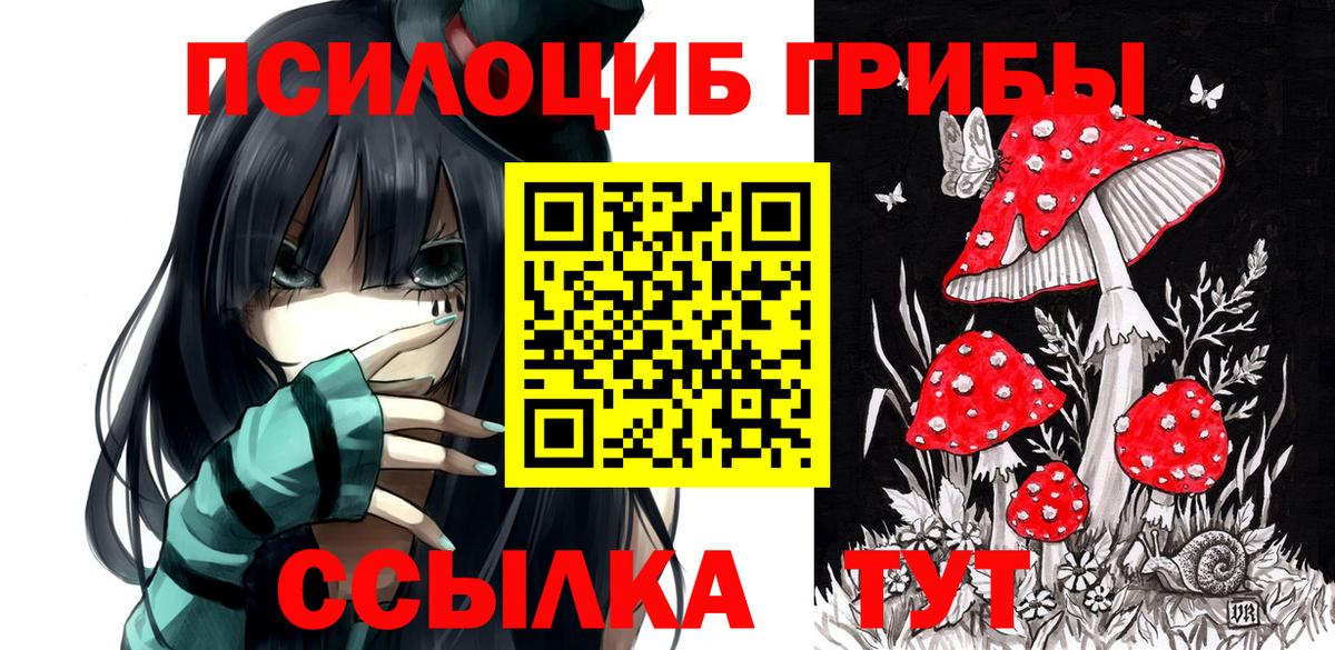 Псилоцибиновые грибы прущие грибы  Вход с VPN  Сибай 