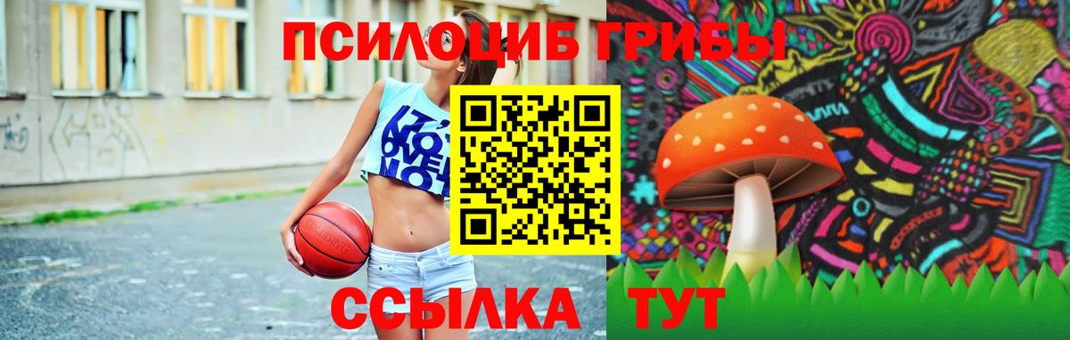 Галлюциногенные грибы Psilocybine cubensis Сибай